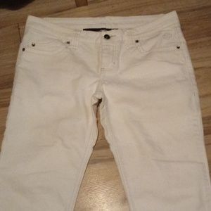 Harley Davidson jeans